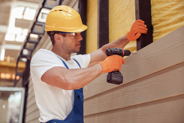 Best Custom Siding Design  in Westview, FL